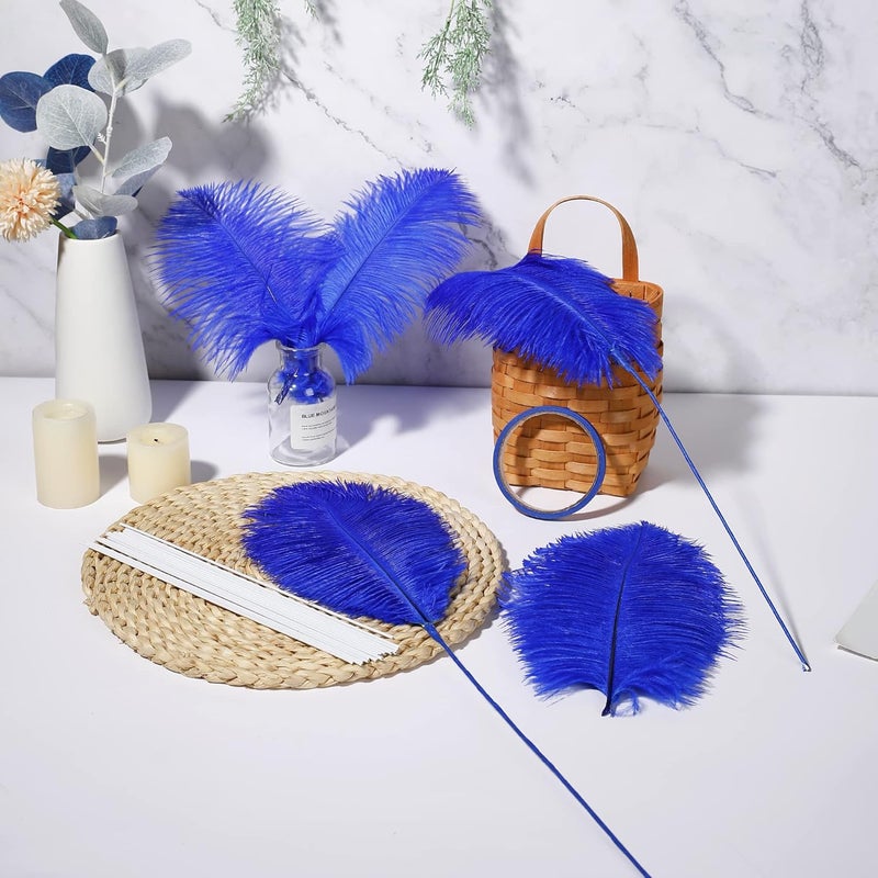 Holmgren Royal Blue Ostrich Feather - 20pcs Making Kit 22 Inch Large Ostrich Feathers for Vase, Floral Arrangement, Wedding Party Centerpieces Home Decorations (Royal Blue) - Image 5